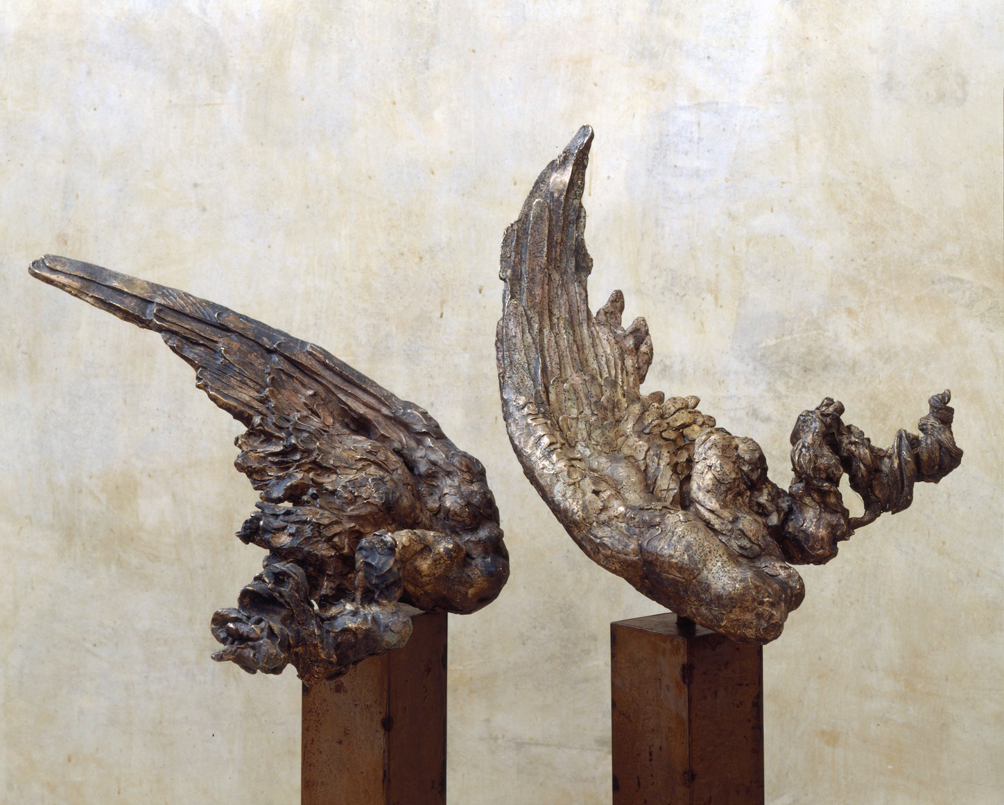 BRONCE