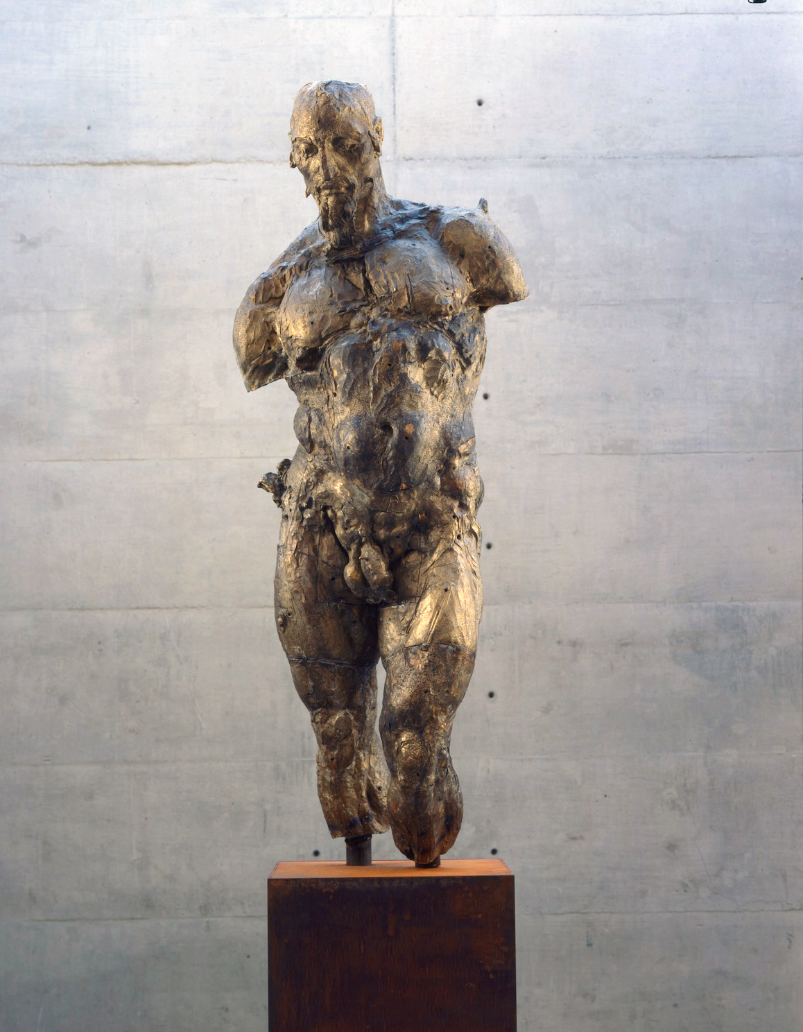 BRONCE