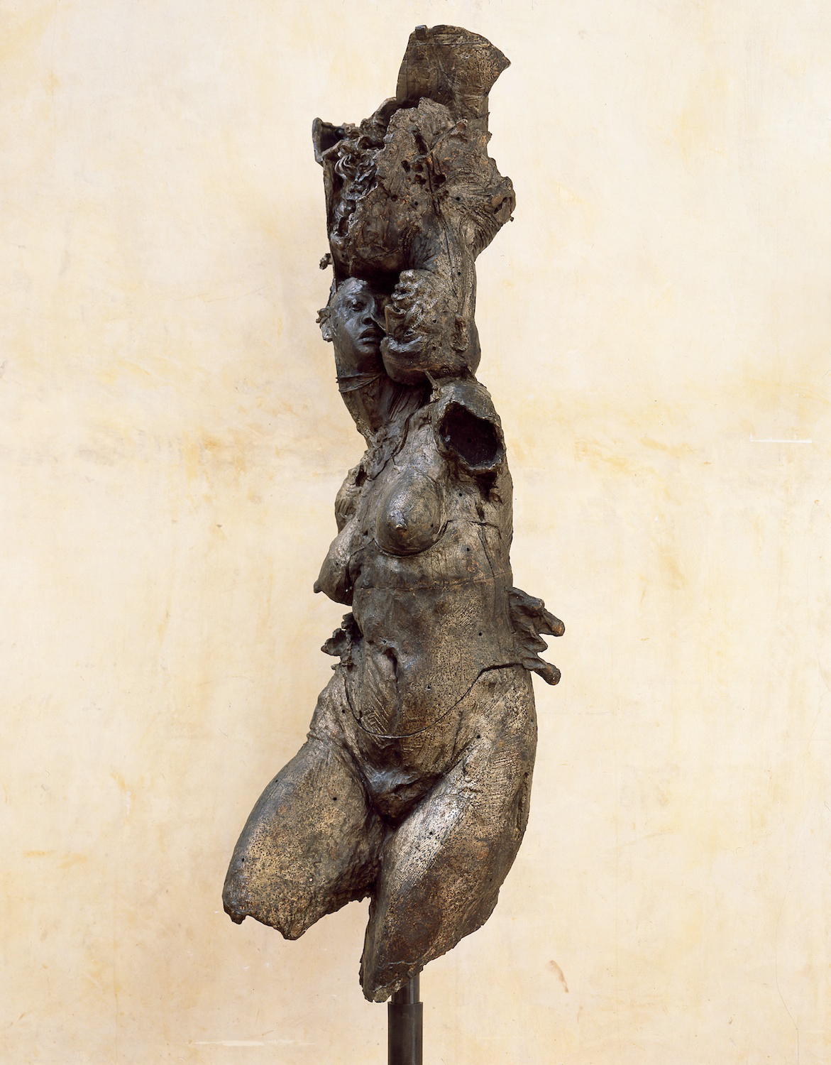 BRONCE