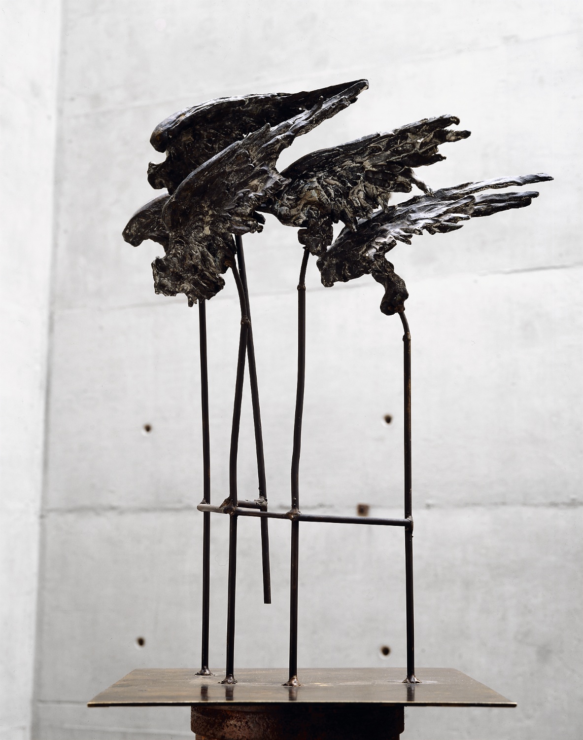 BRONCE